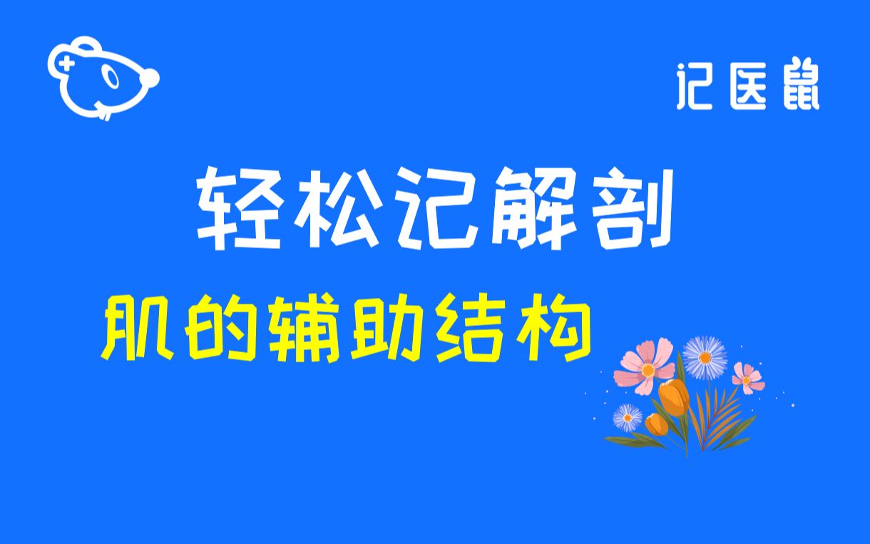 [图]63 解剖 轻松记-肌的辅助结构