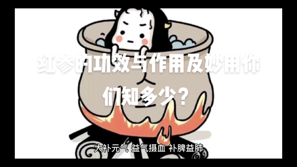 红参的功效与作用及妙用哔哩哔哩bilibili