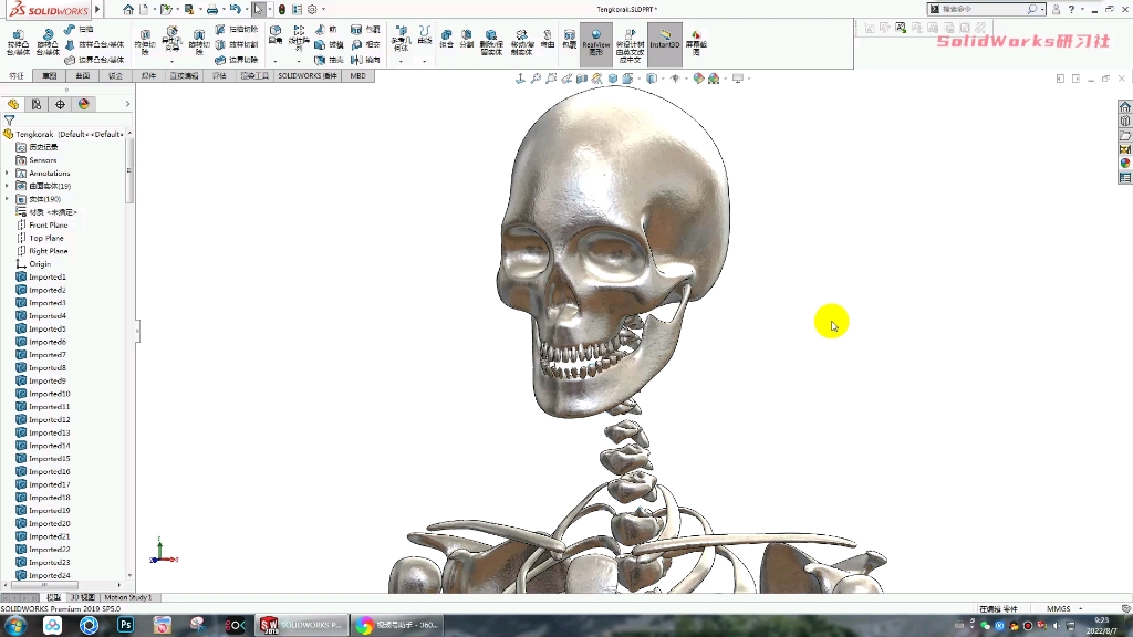 SolidWorks人体骨骼模型哔哩哔哩bilibili