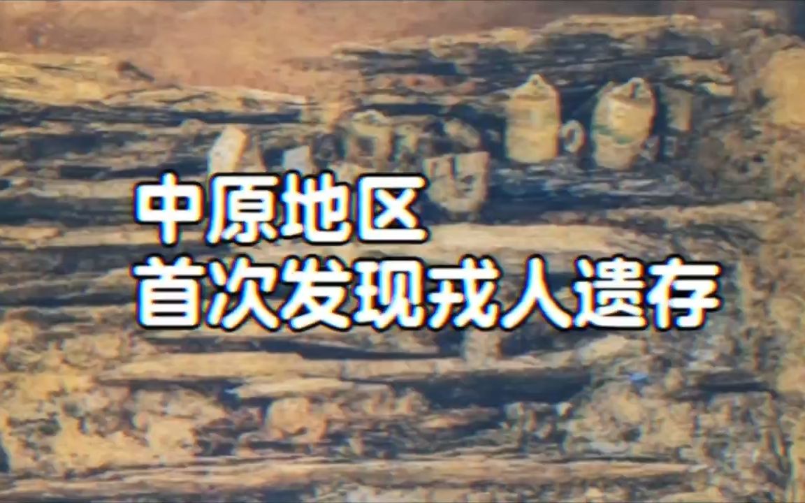 中原地区首次发现戎人遗存哔哩哔哩bilibili