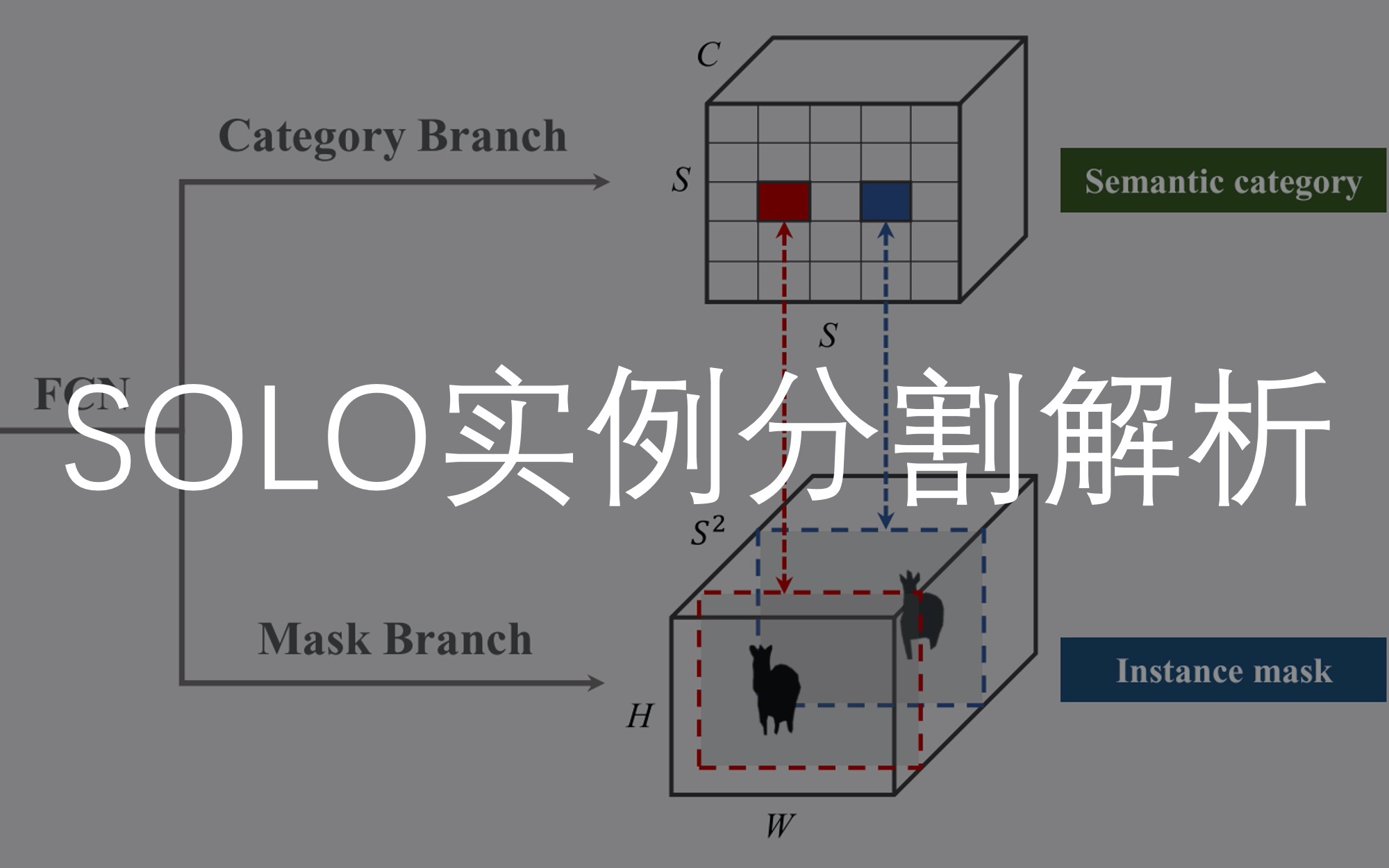 SOLO网络实例分割解析哔哩哔哩bilibili