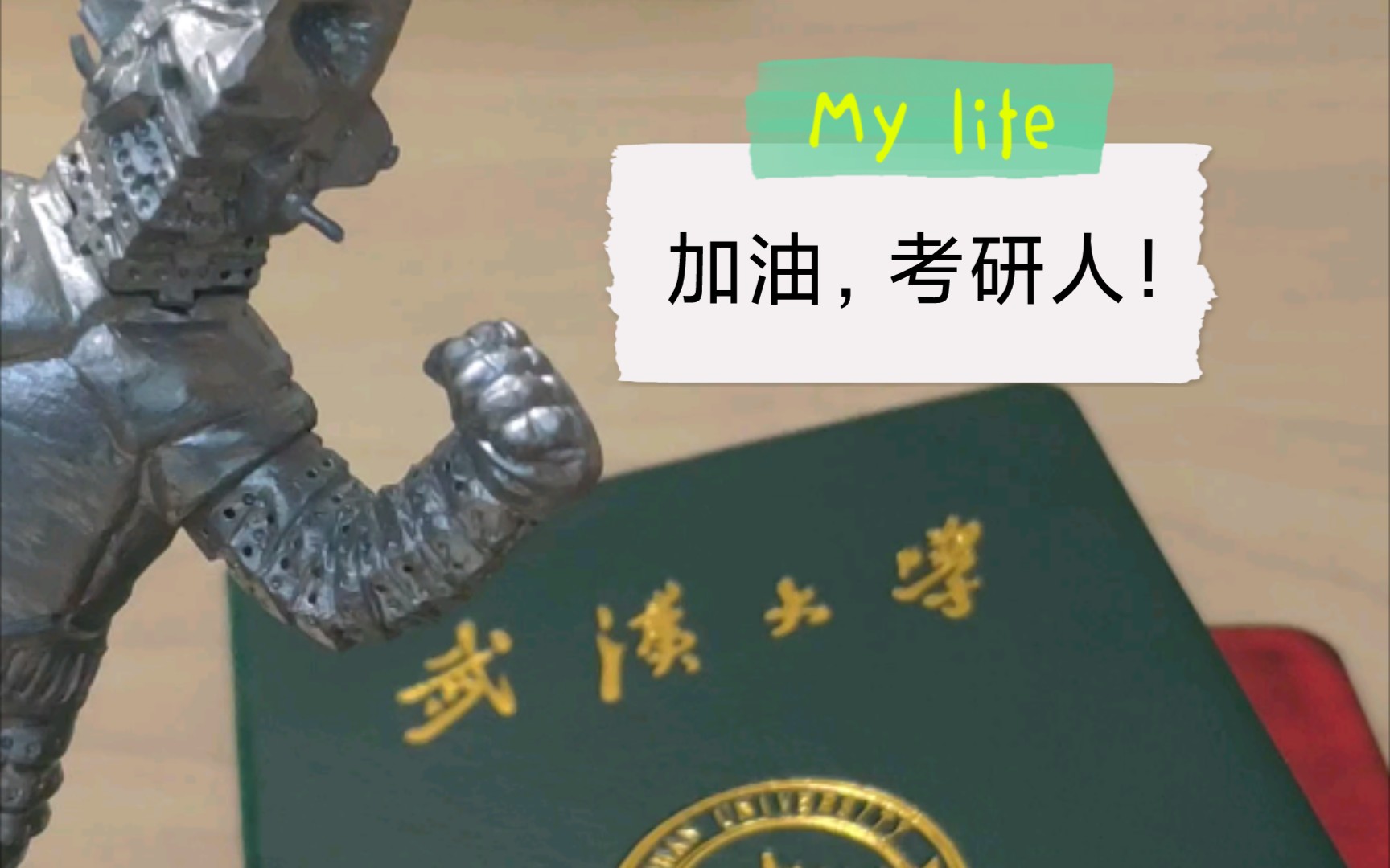 活动作品奋斗200天我要考武汉大学研究生