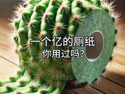 下载视频: 一个亿的厕纸你用过吗？