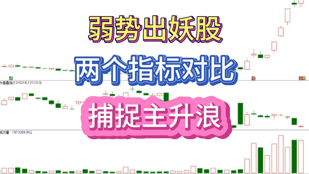 只需两个指标对比,轻松抓住妖股主升浪,一抓一个准!哔哩哔哩bilibili