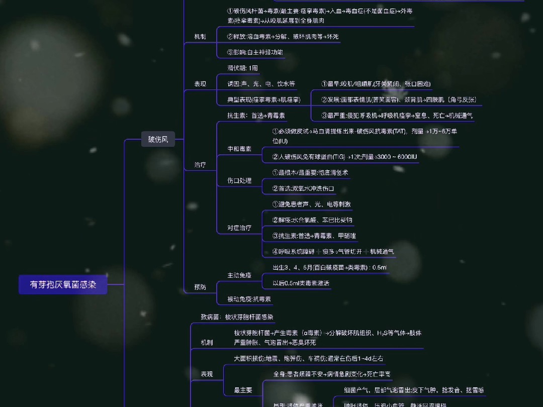 外科感染芽孢杆菌感染感染(思维导图知识卡片)哔哩哔哩bilibili