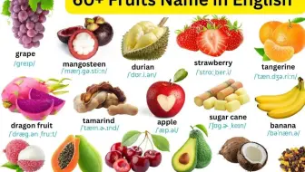 📚60+种水果英文名称 🍓 | 日常生活超实用！💯