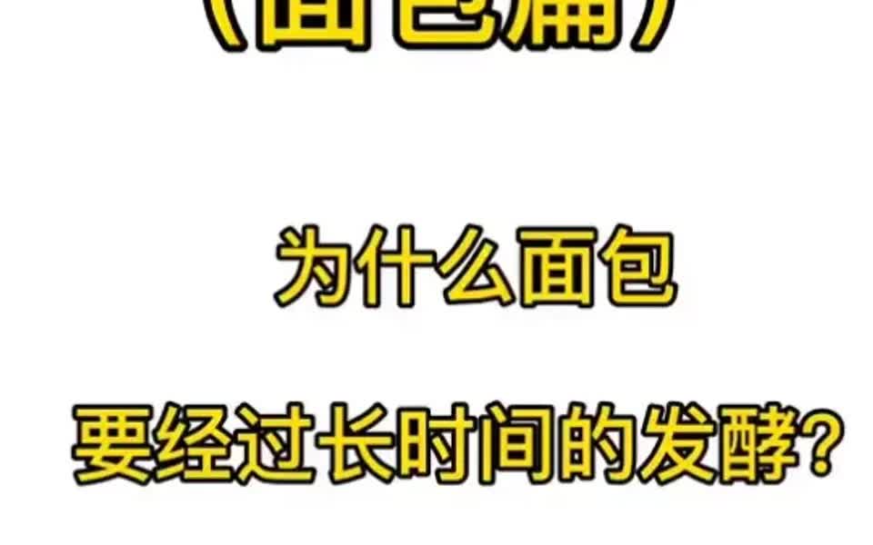 面包常见问题分析!为什么要经过长时间发酵哔哩哔哩bilibili