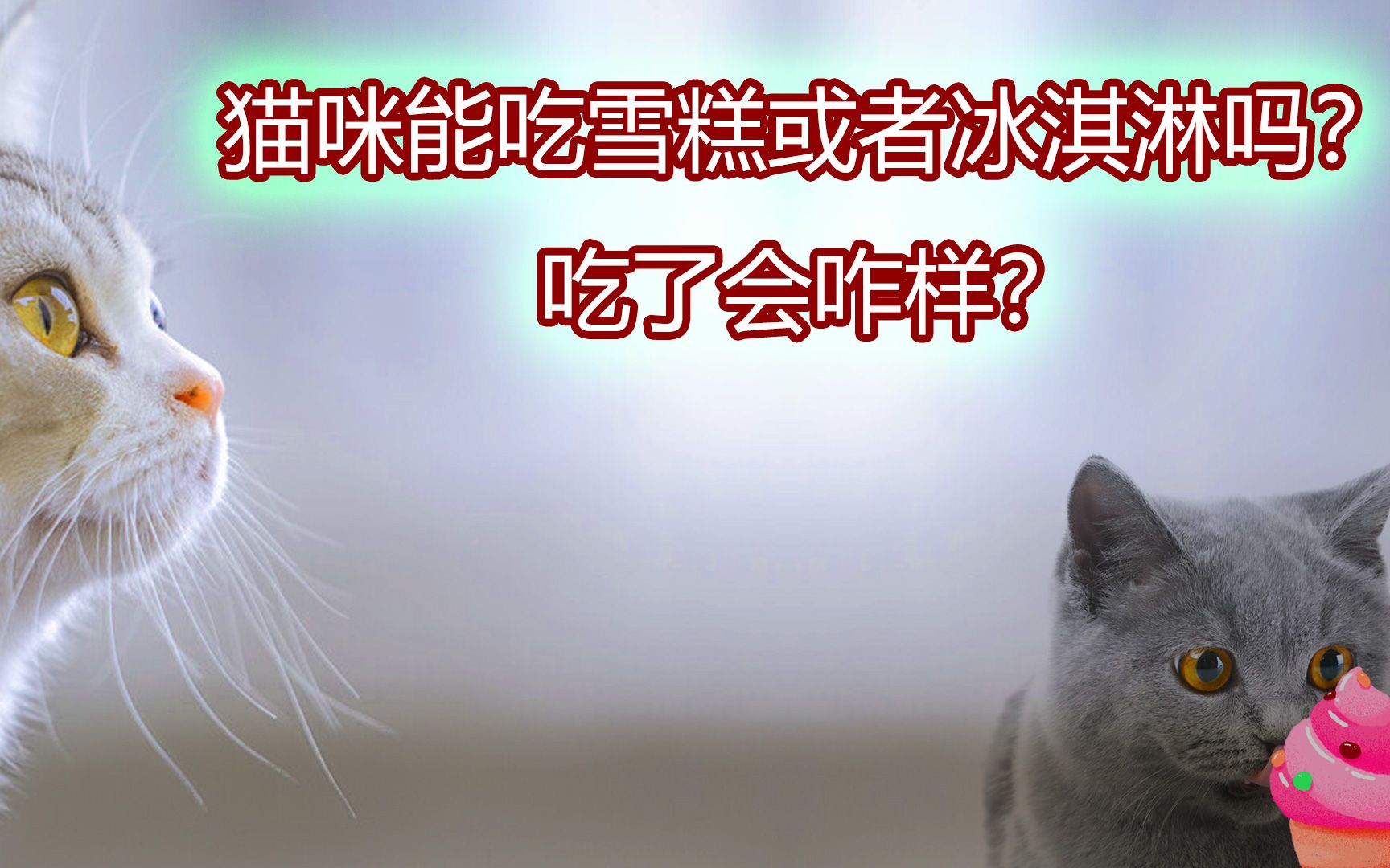 猫咪能吃雪糕或者冰淇淋吗?哔哩哔哩bilibili