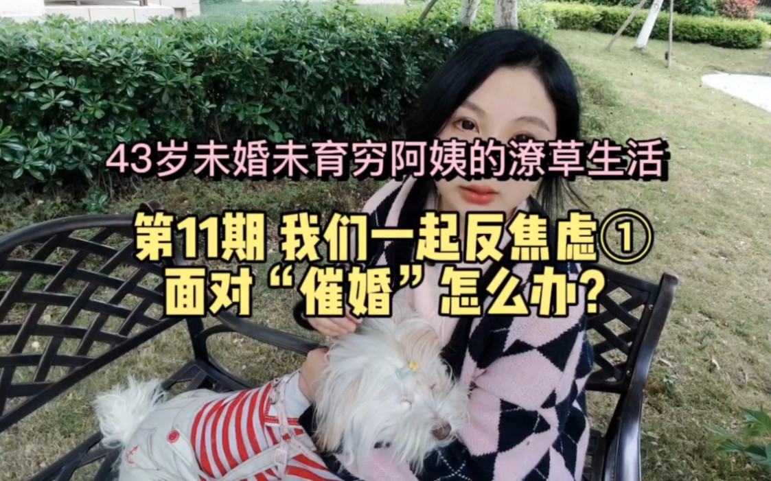 43岁未婚未育穷阿姨的潦草生活→第11期 我们一起反焦虑①面对“催婚”怎么办?哔哩哔哩bilibili