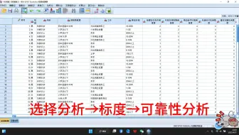 软件下载+SPSS信效度分析教程（粗糙