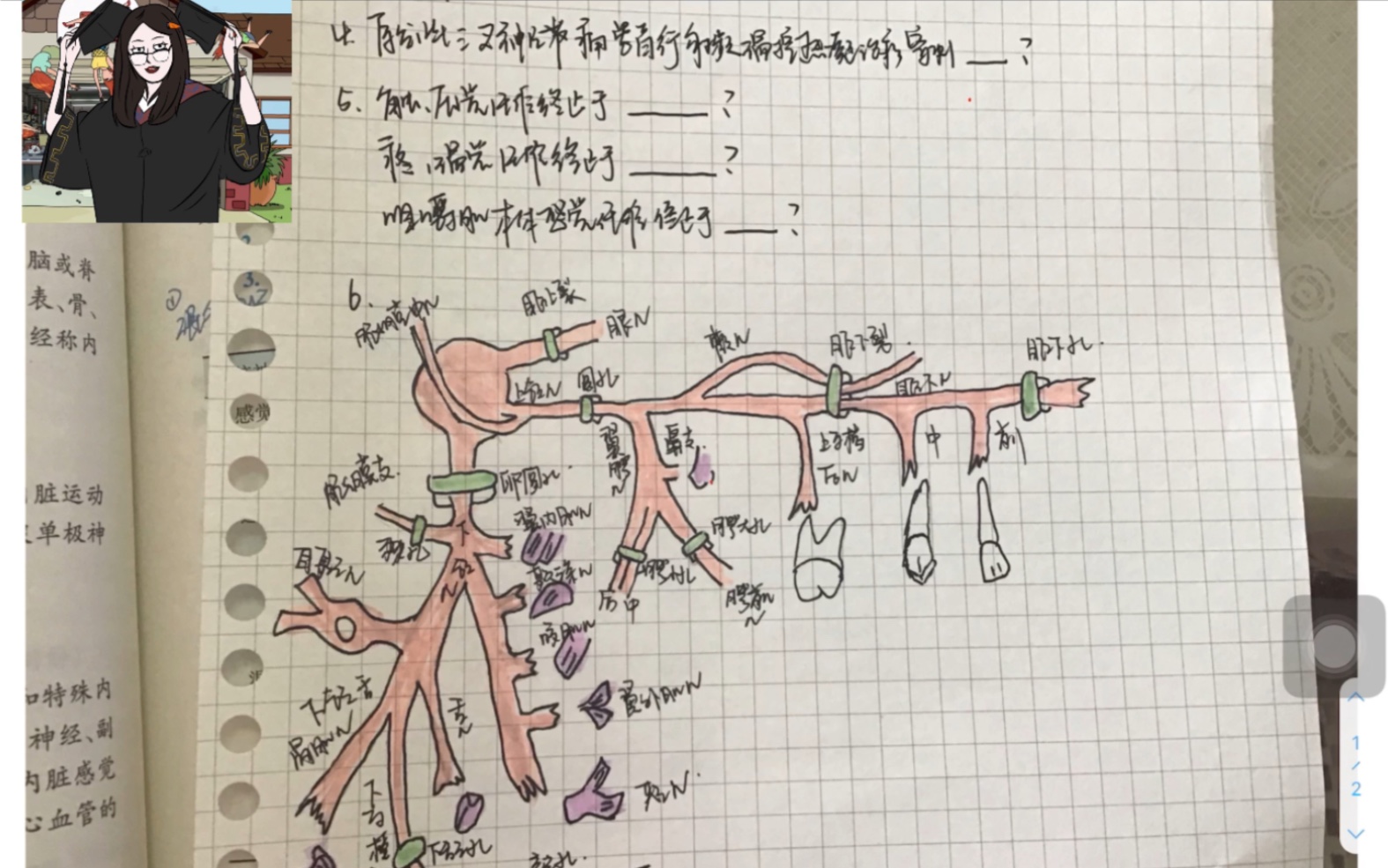 口解简图学习法之复杂的三叉神经(口腔解剖生理学)哔哩哔哩bilibili