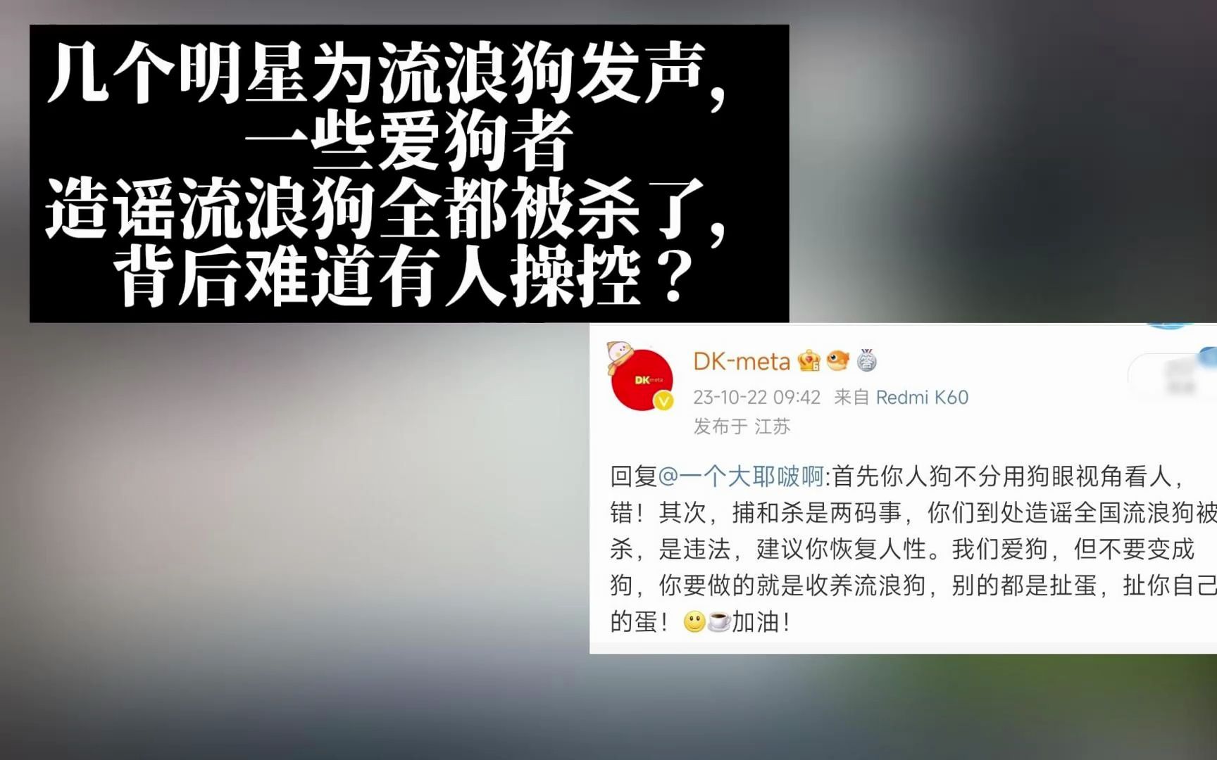 [图]几个明星为流浪狗发声，爱狗者造谣流浪狗全都被杀了，背后会不会有人操控啊？