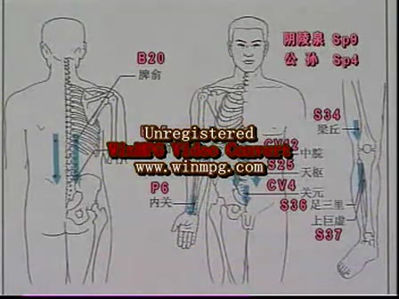 张秀勤老师讲解全息经络刮痧法哔哩哔哩bilibili