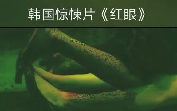 韩国惊悚片《红眼》哔哩哔哩bilibili