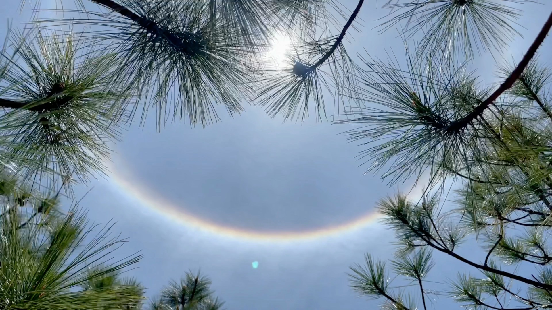 七彩祥云#日晕奇观#见者好运哦