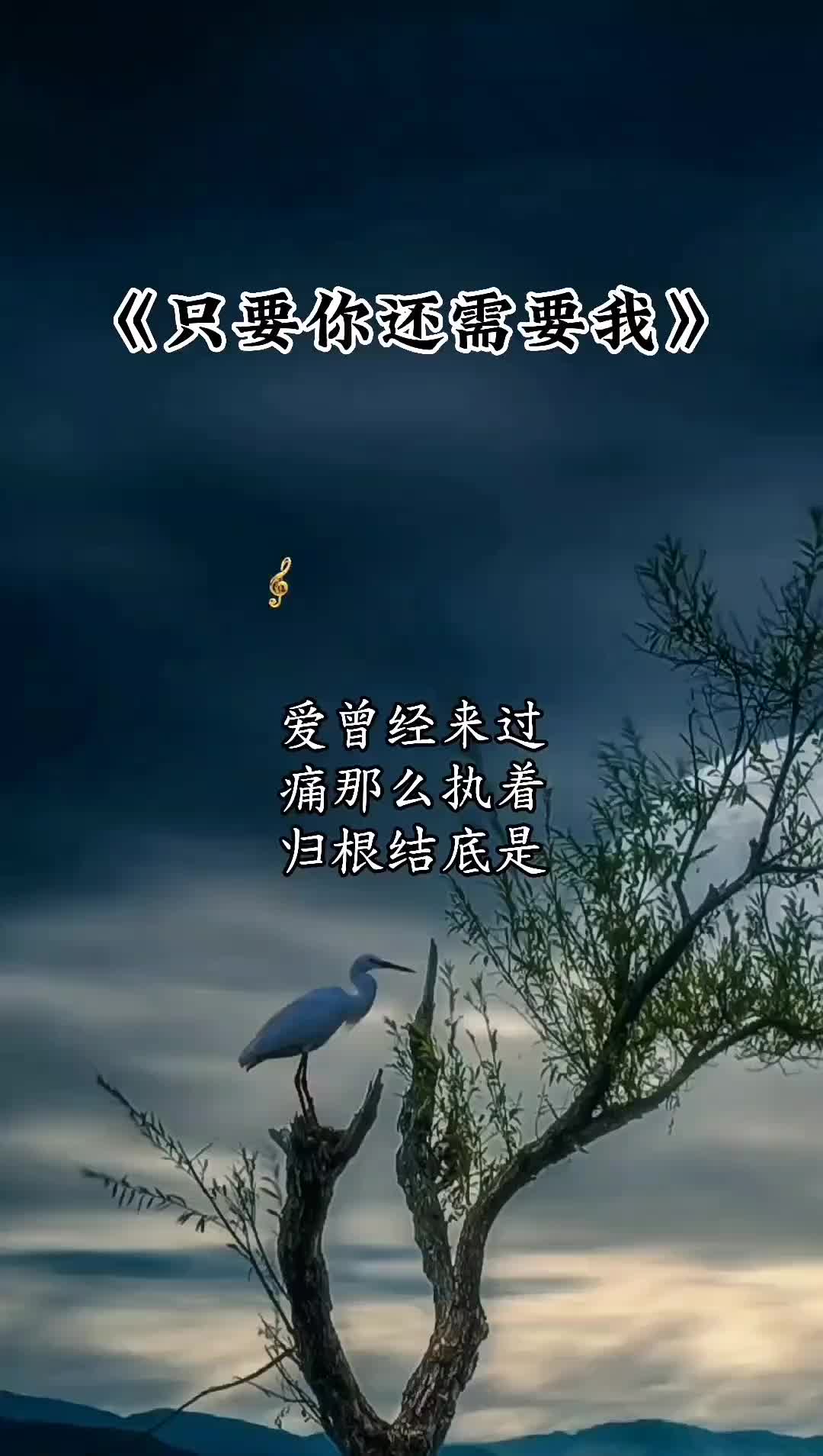爱曾经来过痛那么执着归根结底是难以舍得音乐分享伤感音乐伤感情