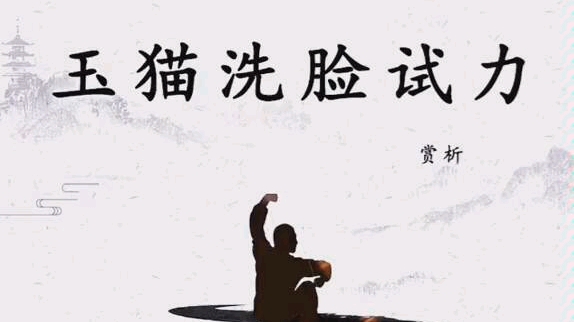 【搬运】意拳高臣先生演示猫洗脸试力哔哩哔哩bilibili