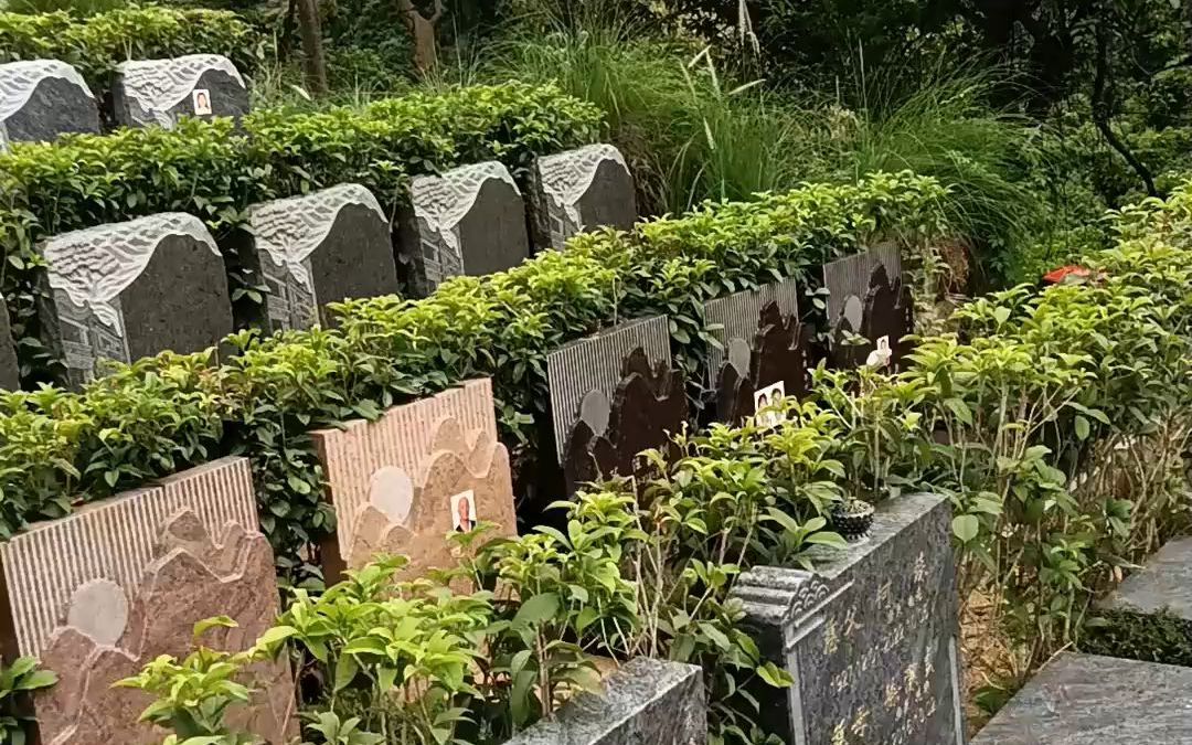 罗浮净土人文纪念园,惠州的墓园-公墓环境-公墓环境-哔哩哔哩视频