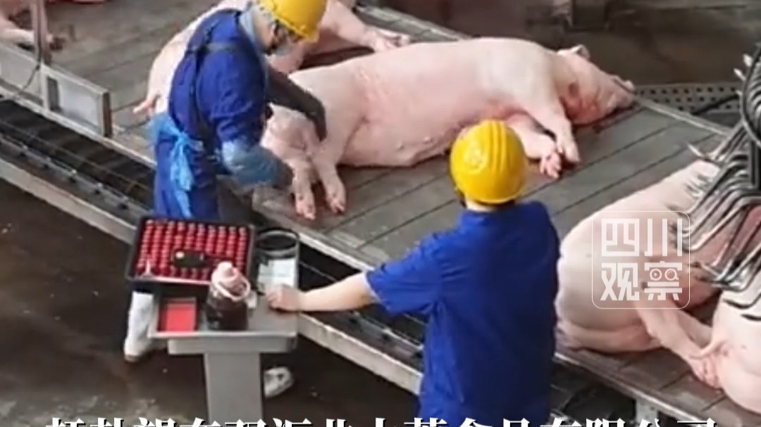 双汇子公司生产的猪肉被检出抗生素超标37.5倍，双汇致歉：已成立工作组配合排查