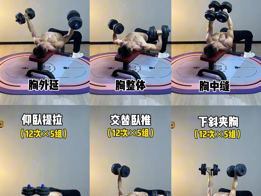 居家哑铃胸肌训练大全 只需一对哑铃居家打造铠甲胸 每个动作12次各5