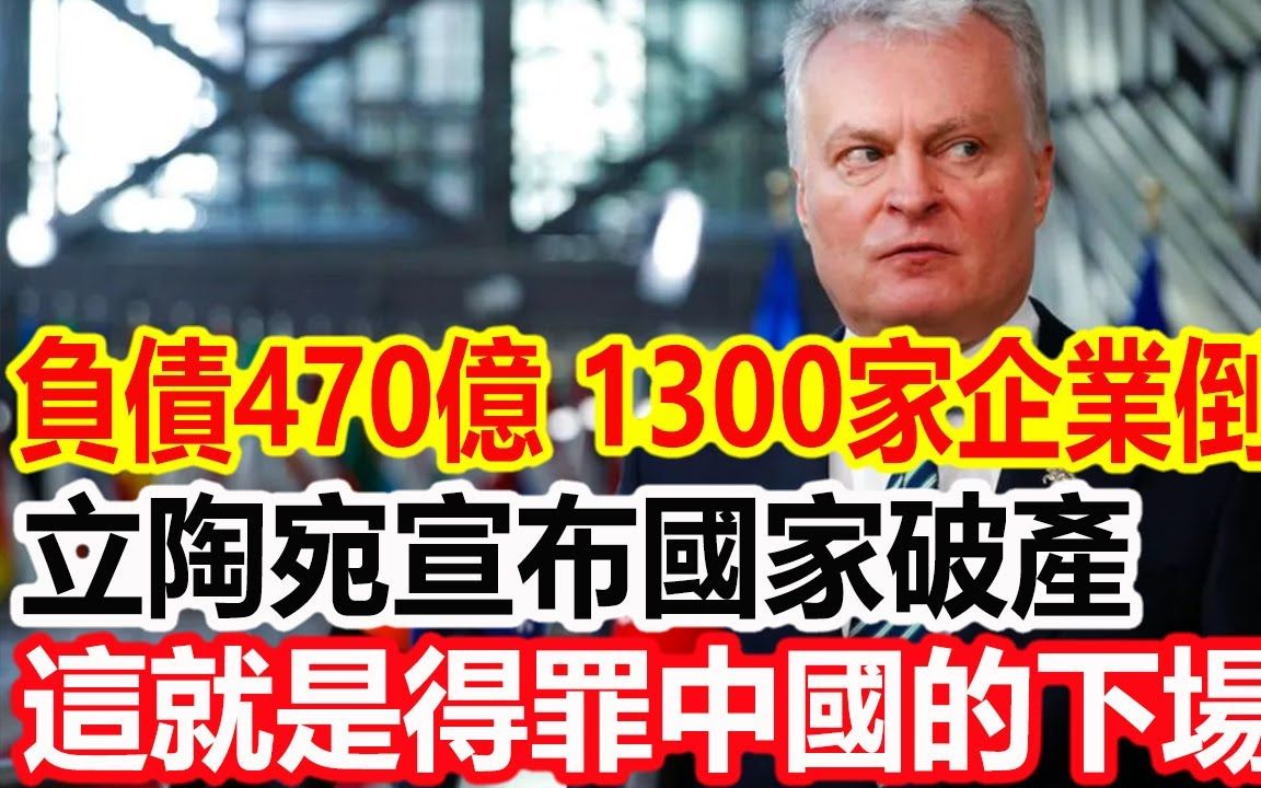 负债470亿,1300家企业倒闭,立陶宛宣布国家破产,这就是得罪中国的下场!哔哩哔哩bilibili