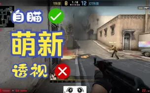 Download Video: CSGO鉴挂：当一个萌新开启了自瞄却没开透视！这真没有演的必要！