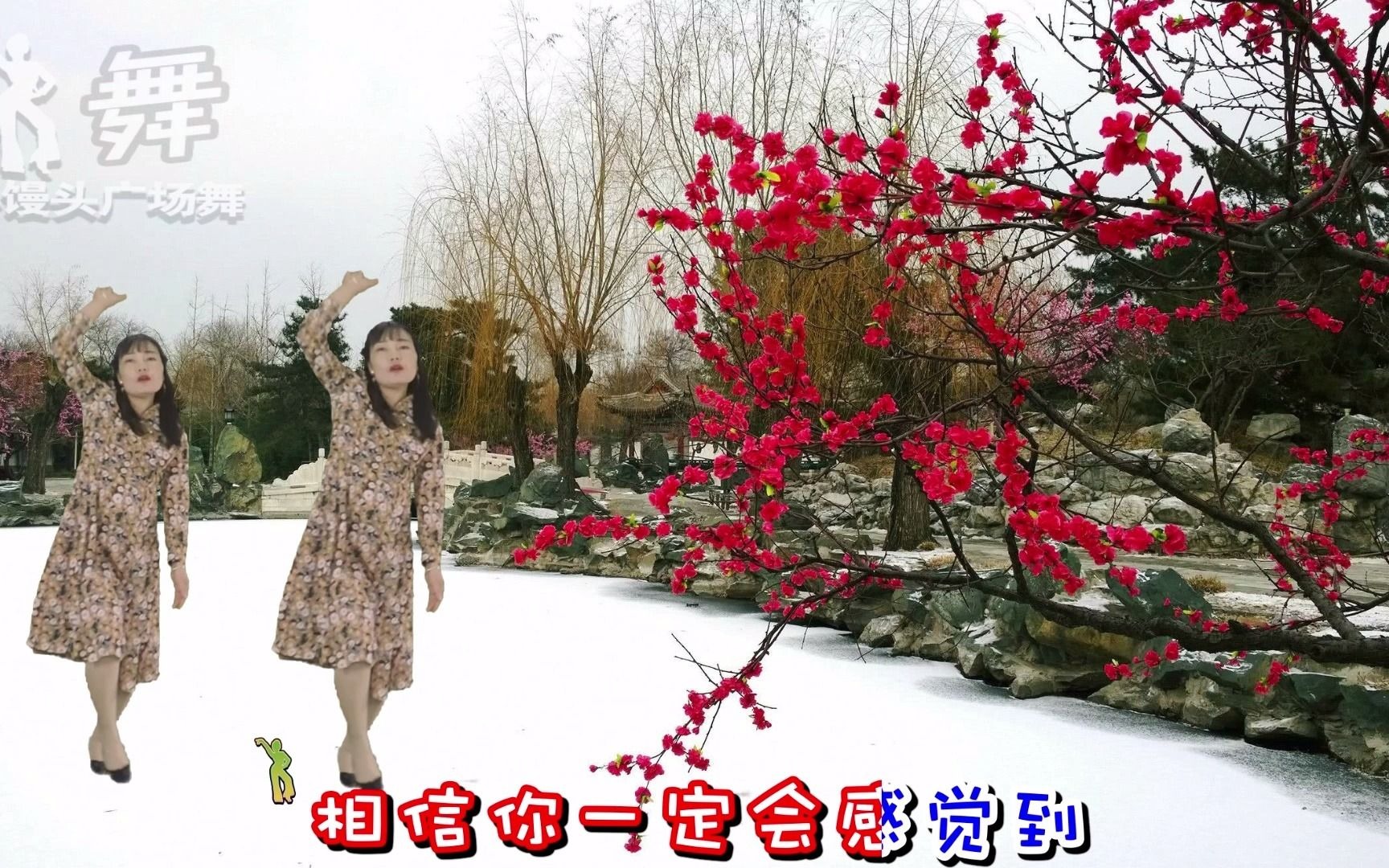 [图]DJ版广场舞《又见雪花飞》，落在我的世界里，就好像织成的婚纱！