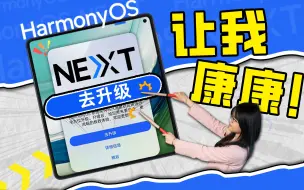 下载视频: 满级大佬开新号？HarmonyOS NEXT准备好了吗？