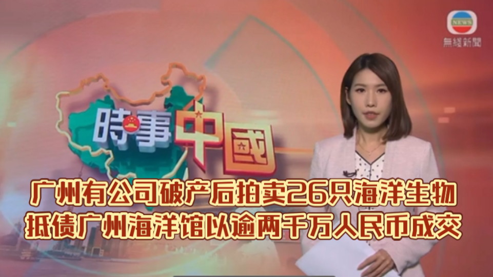 (TVB新闻)广州有公司破产后拍卖26只海洋生物抵债广州海洋馆以逾两千万人民币成交哔哩哔哩bilibili