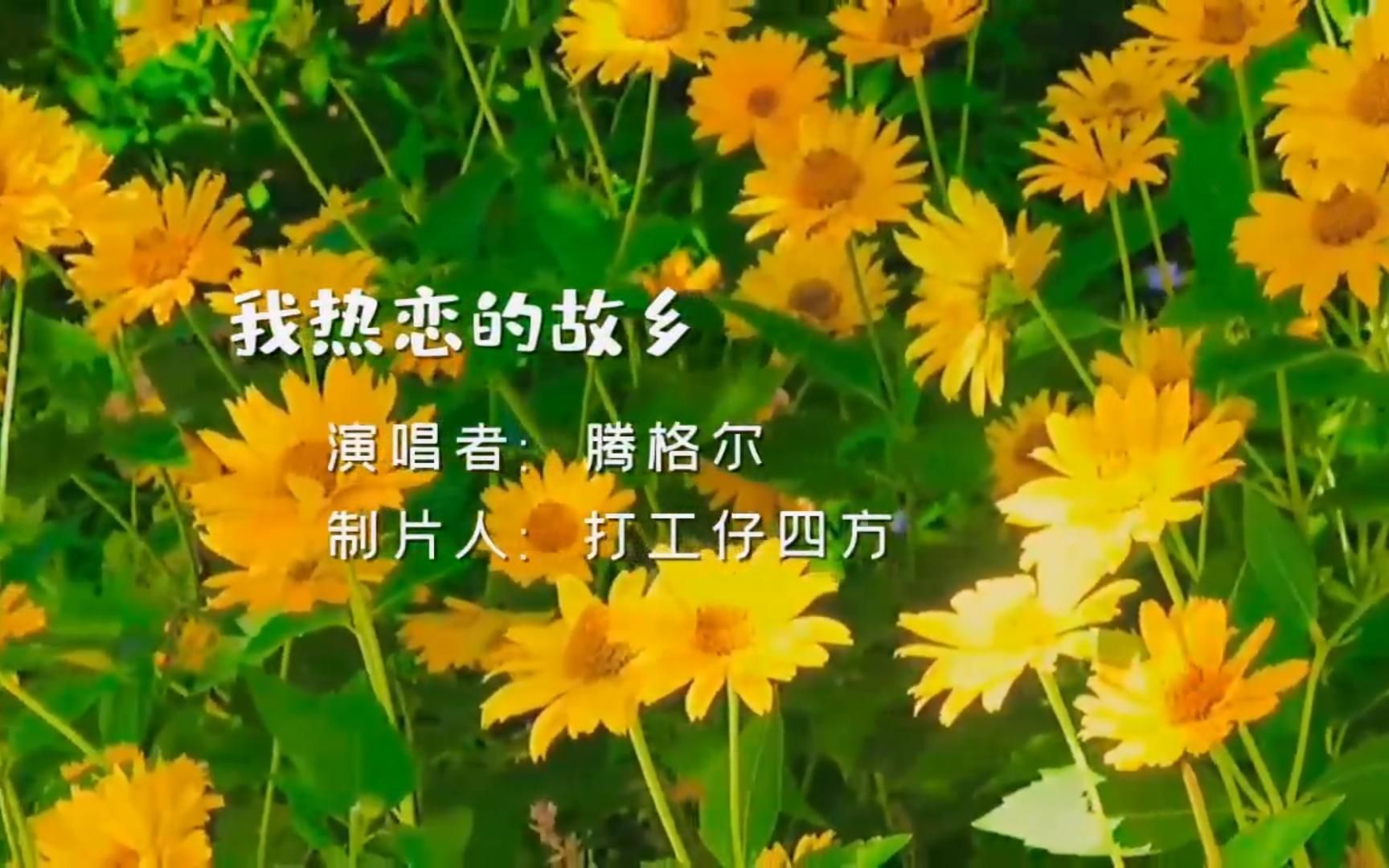 经典歌曲;我热恋的故乡---腾格尔