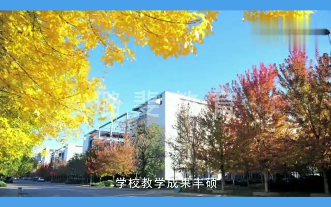 天津财经大学与加拿大西三一大学 联合办学硕士MBA 2023年热招中哔哩哔哩bilibili