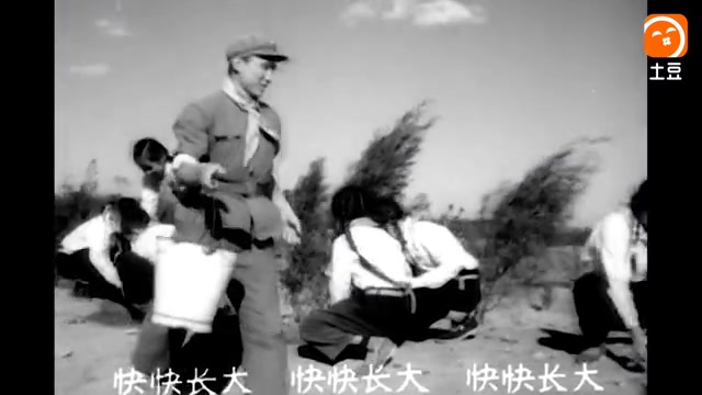 怀旧电影金曲1964雷锋插曲小松树快长大哔哩哔哩bilibili