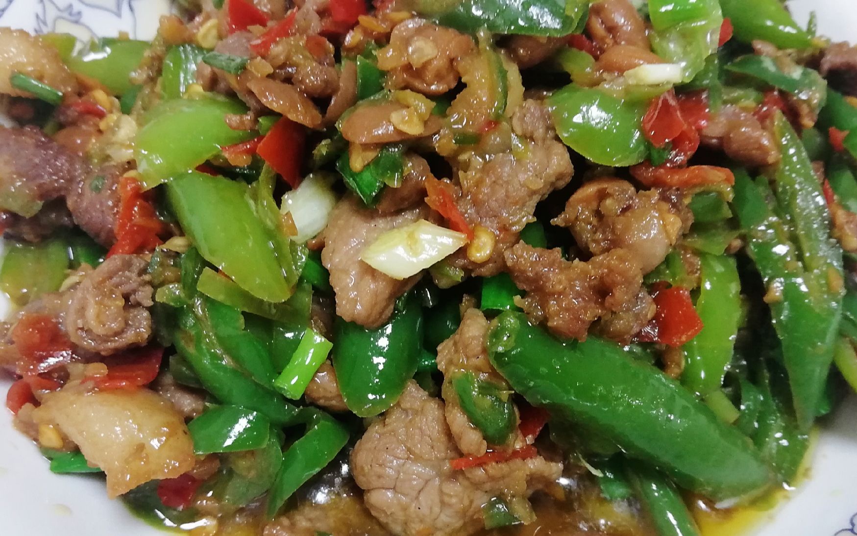 来碗豆豉辣椒炒肉,堪称下饭神器_哔哩哔哩 (゜-゜)つロ 干杯~-bili