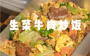 Скачать видео: 上班带饭一个月不超300元｜生菜牛肉炒饭