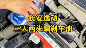 Tải video: 长安逸动三天两头漏刹车油，这问题一般的修理工还真解决不了！