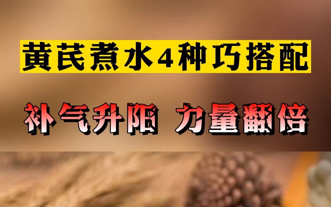 黄芪煮水4种巧搭配,补气升阳,力量翻倍,人人都能吃得起哔哩哔哩bilibili