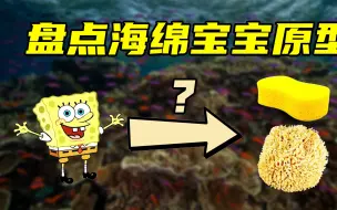 Download Video: 盘点海绵宝宝原型，痞老板小到看不清，海绵宝宝是不是生物海绵？