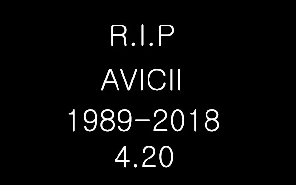 [图]Live a Life You Will Remember - Avicii