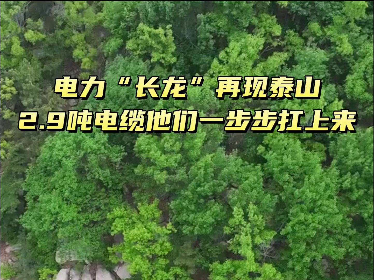 电力“长龙”再现泰山,2.9吨电缆他们一步步扛上来哔哩哔哩bilibili