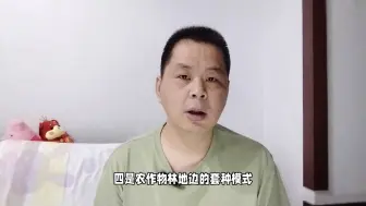 Скачать видео: 高鹏说药材：简述当前林草中药材种植的主要模式和原则