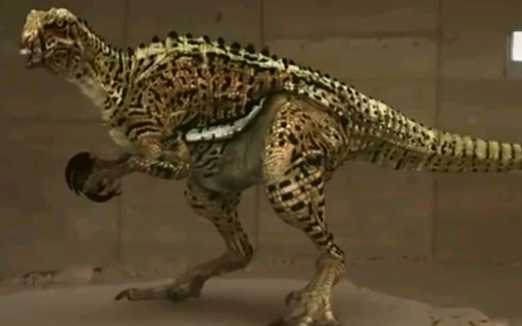 恐龙漫步温顿南方猎龙身长75米体重15吨南方猎龙捕食迪亚曼蒂纳巨龙