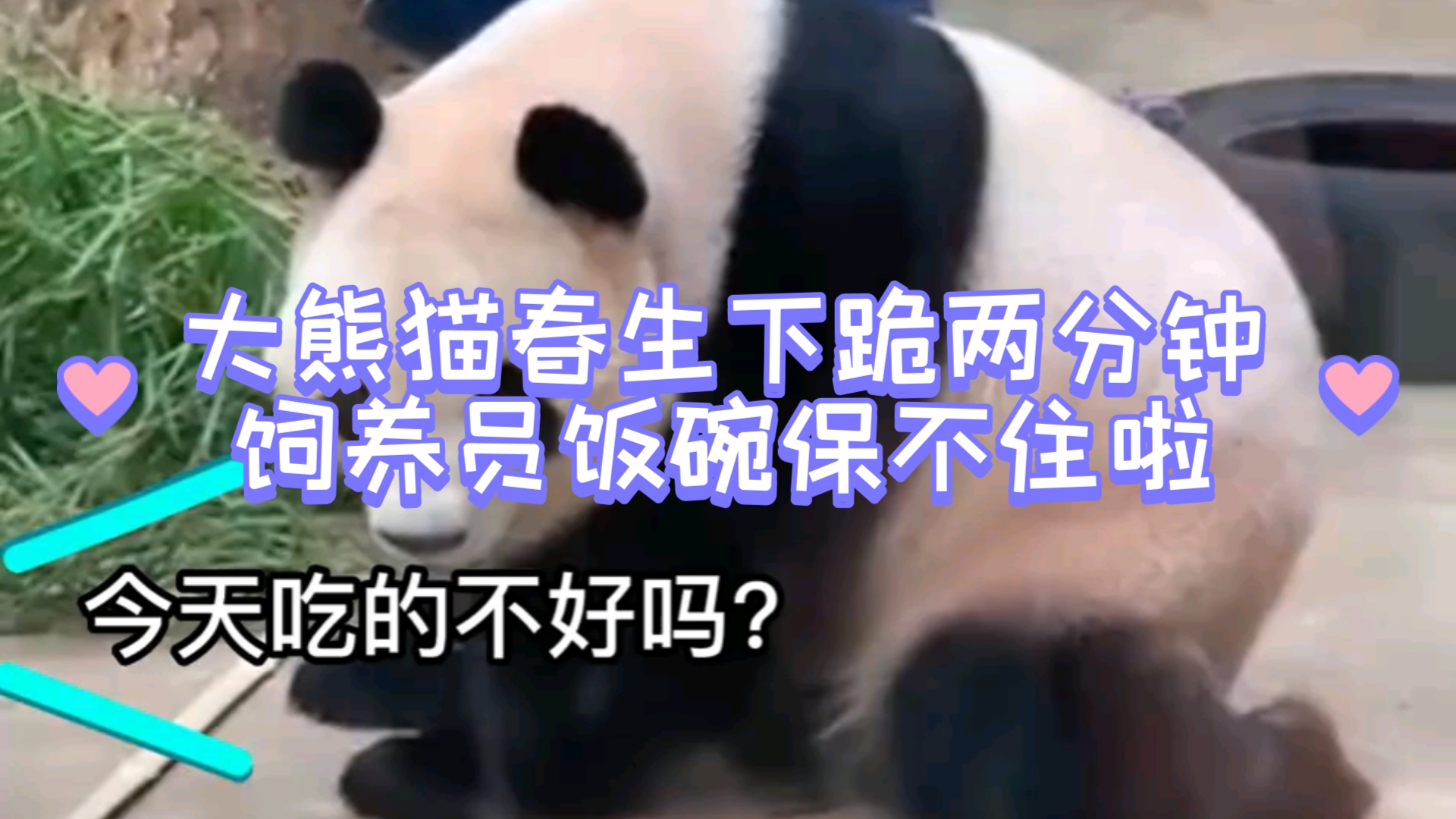 饲养员饭碗不保啊.哈哈哈