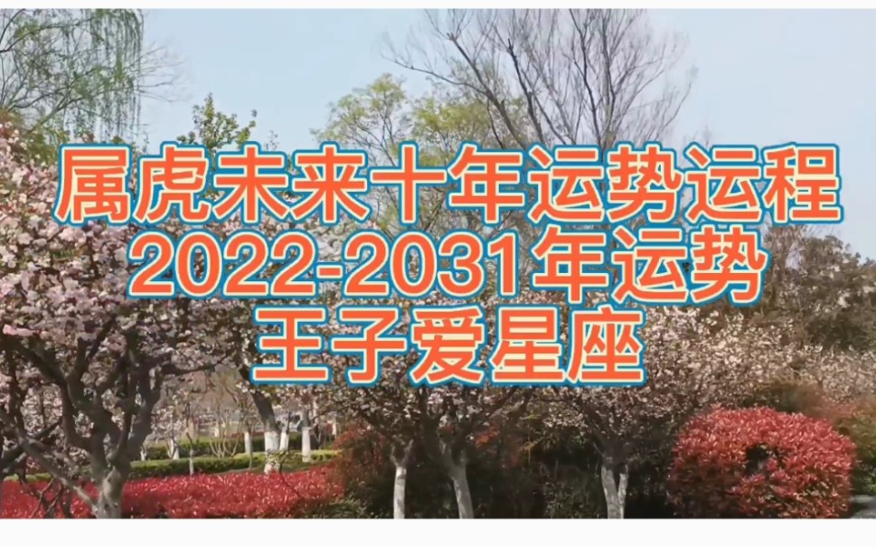 属虎未来十年运势运程20222031年运势哔哩哔哩bilibili