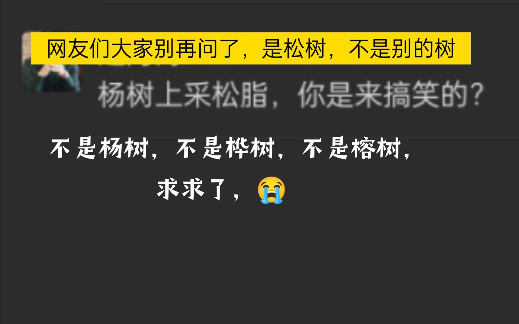 [图]上帝的眼泪，大英帝国皇冠上的明珠，东三省香道界的鼻涕虫。