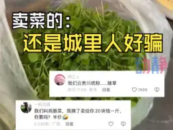 Download Video: 云贵川渝的“猪草”到了东北化身40元一斤的抽筋菜，网友：打的就是信息差