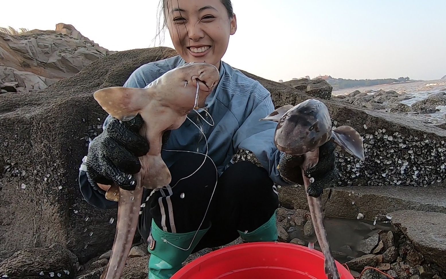 渔妹出海收钓钩,大货接连上钩能值好几百,赶紧带回家拿到市场卖