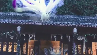 【空境】狐狸