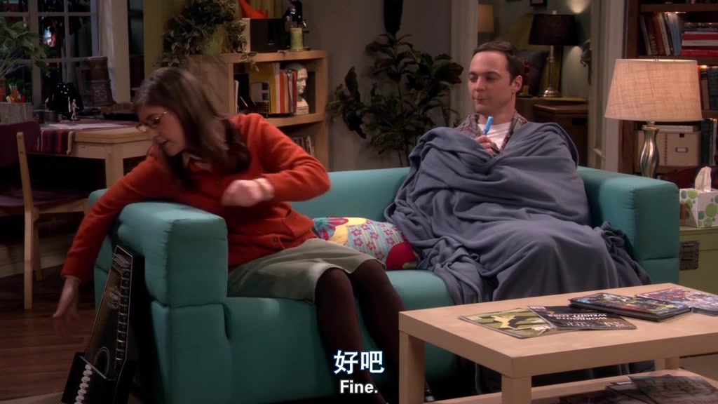 【生活大爆炸】【shelmy】 soft kitty