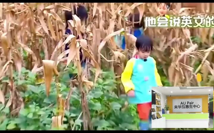 为什么明星孩子英语都这么好?做到这一点,你家孩子也同样可以#看明星说英语哔哩哔哩bilibili