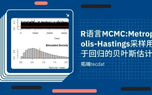 下载视频: R语言MCMC Metropolis-Hastings采样用于回归的贝叶斯估计